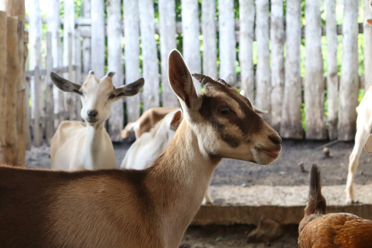 bebes-7_50Z8Bh9znIkOJSlHIYLw