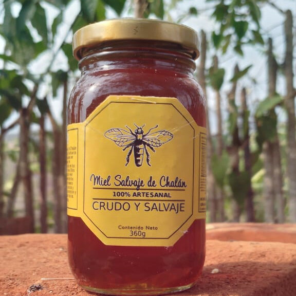 miel-X8FrnIsvaW8nc7vJ9eM3OA